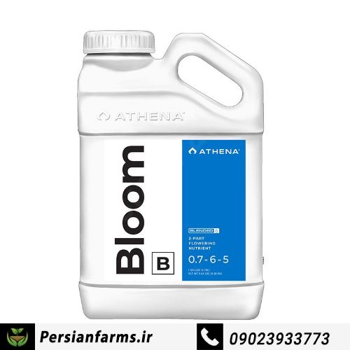 بلوم ب 940 میل [ Bloom B 940 ml]