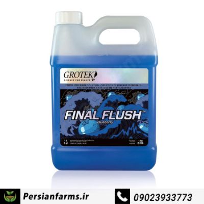 فاینال فلاش 1 لیتر بلوبری [FINAL FLUSH 1 LITR]