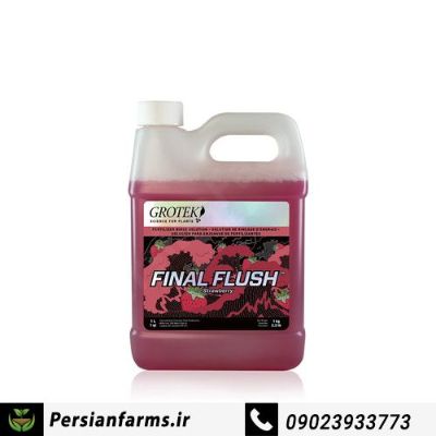 فاینال فلاش 1 لیتر توت فرنگی [FINAL FLUSH 1 LITR]