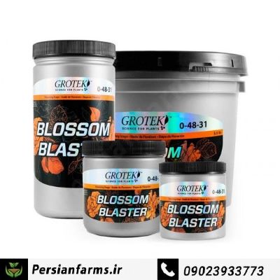 بلوم بلاستر 1 لیتر [Blossom Blaster 1 litr]