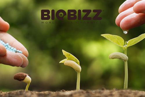 کدام محصولات Biobizz باعث رشد گیاه می شود؟