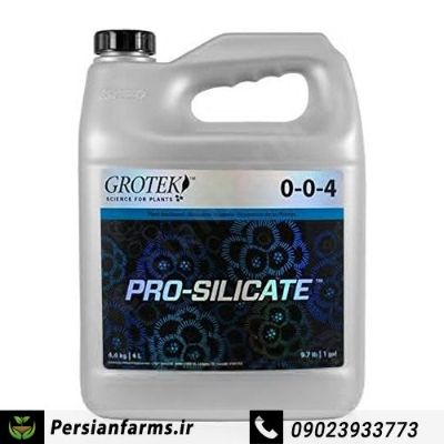 پرو سیلیکات 4 لیتر [Pro Silicate 4 litr]