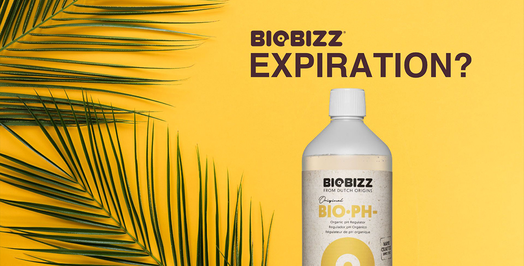 BioBizz