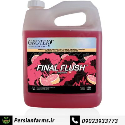 فاینال فلاش 4 لیتر گریپ فروت [FINAL FLUSH 4 LITR]