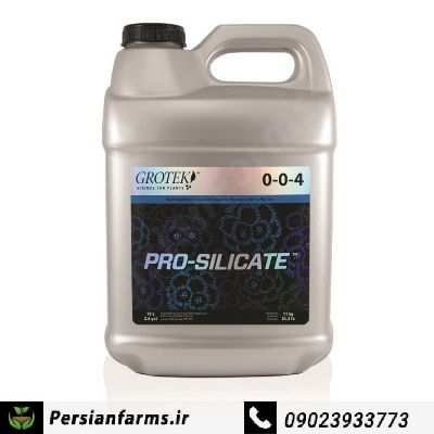 پرو سیلیکات 500 میل [Pro Silicate 500 ml]