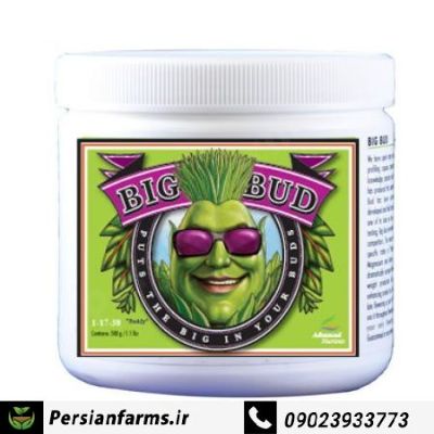 Big Bud-Powder پودر بیگ باد 500gr