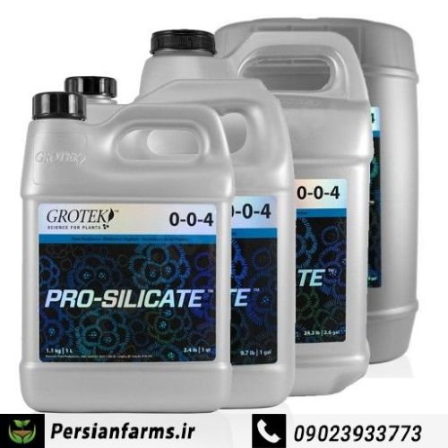 پرو سیلیکات 1 لیتر [Pro Silicate 1 litr]