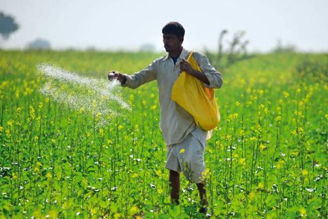 نقش کودهای گیاهی در کاهش مصرف کودهای شیمیایی و حفاظت از محیط زیست